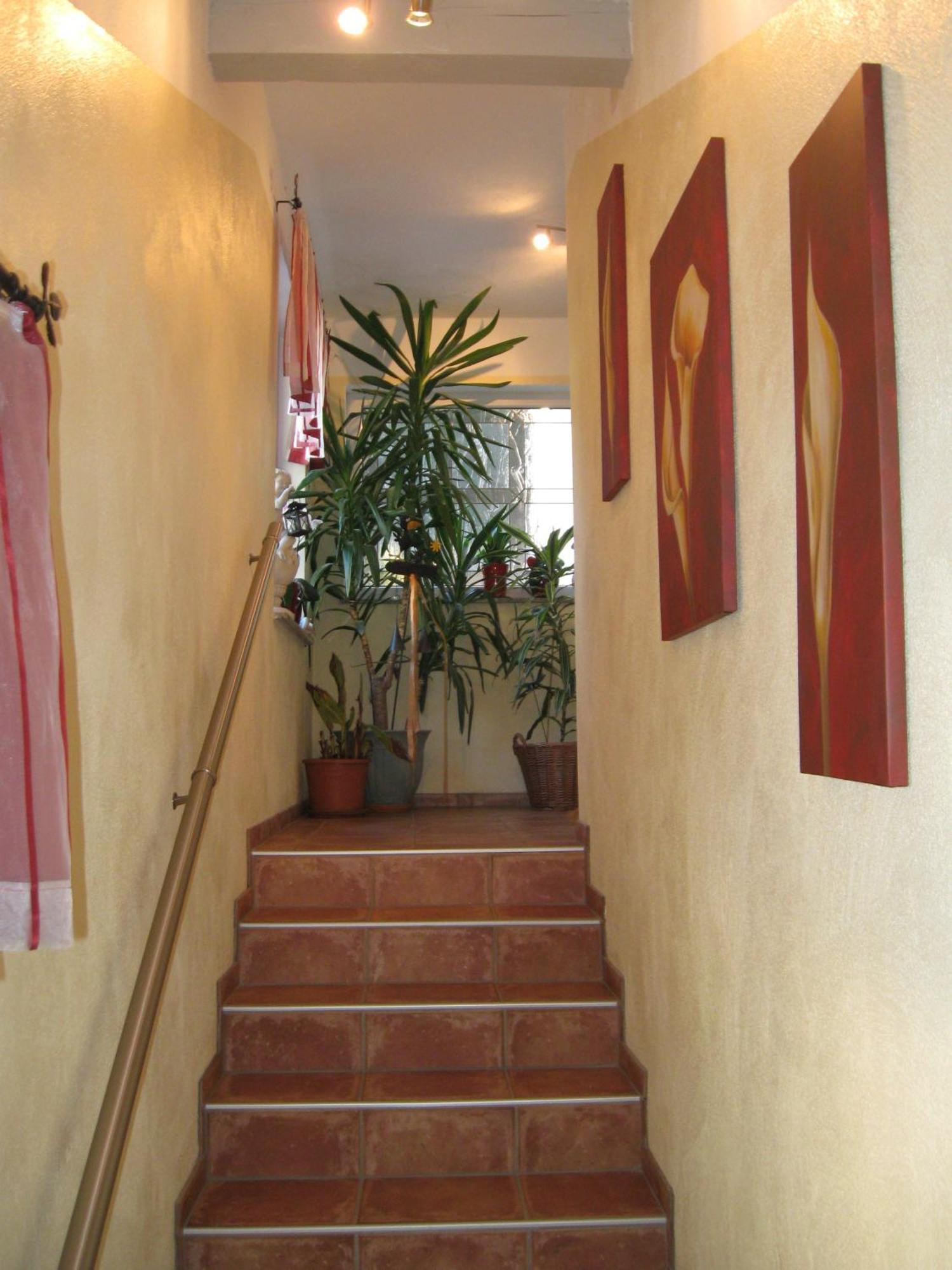 Appartements Schusser มัลล์นิทซ์ ภายนอก รูปภาพ
